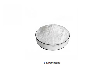 Daminozida (B-NINE/B9) CAS 1596-84-5