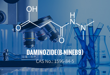 Daminozida (B-NINE/B9) CAS 1596-84-5